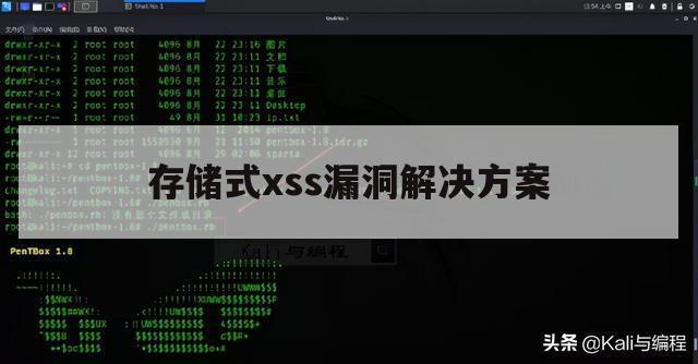 存储式xss漏洞解决方案（xss漏洞的有效措施）