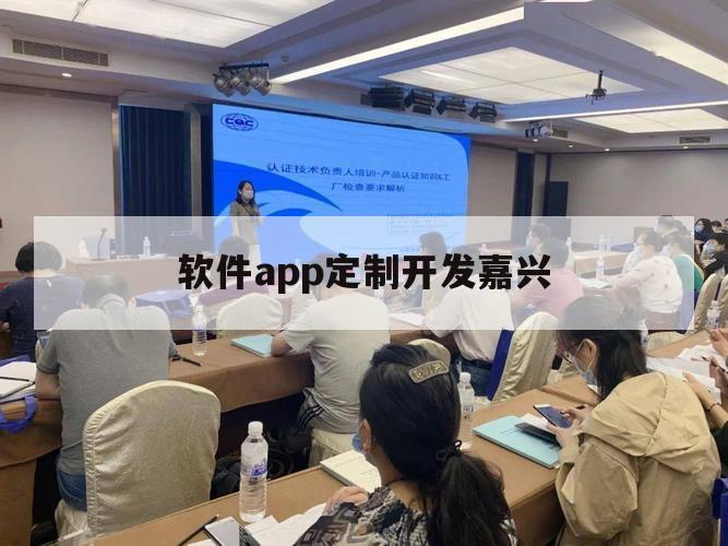 软件app定制开发嘉兴（嘉兴APP外包）