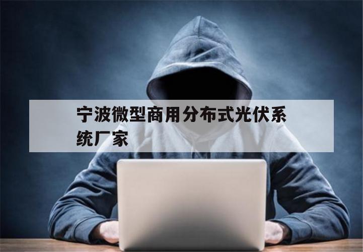 宁波微型商用分布式光伏系统厂家（宁波光伏科技有限公司）