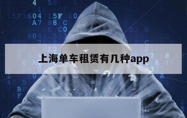 上海单车租赁有几种app（上海有电动自行车出租吗）