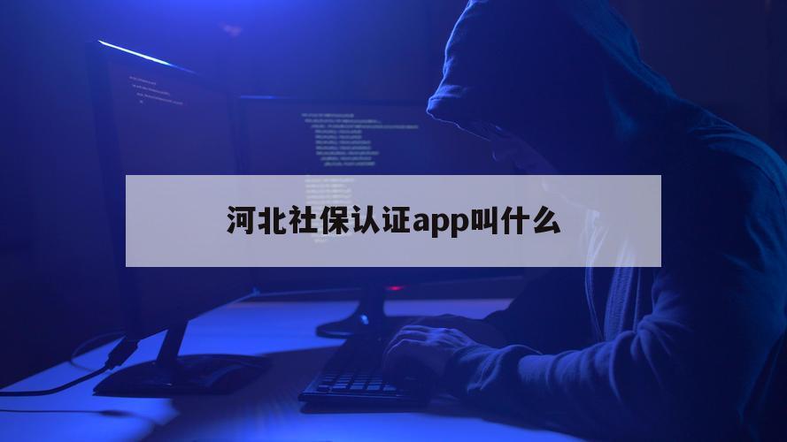 河北社保认证app叫什么（河北人社认证app下载）