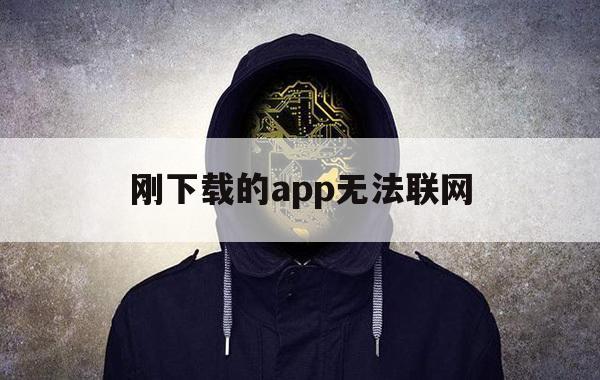 刚下载的app无法联网（下载新的app显示无法联网）