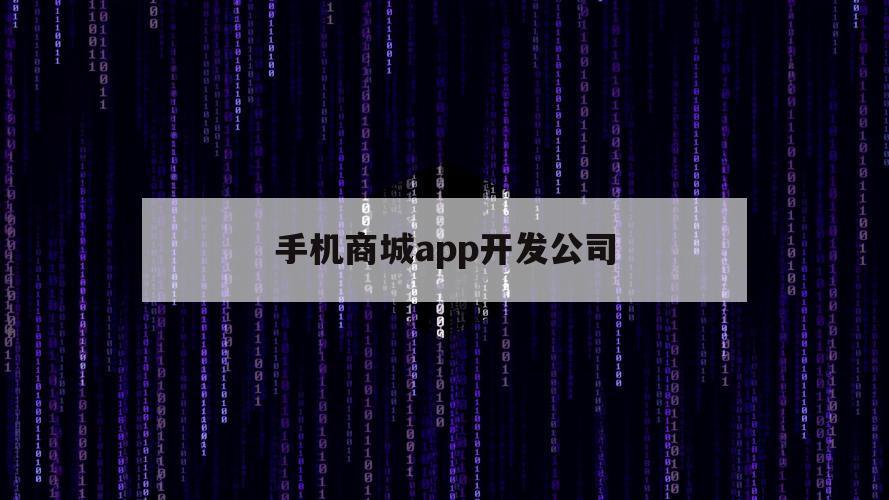 手机商城app开发公司（商城软件开发公司）