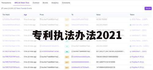 专利执法办法2021（专利执法办法指南）