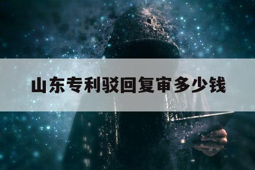 山东专利驳回复审多少钱（发明专利驳回复审费用）