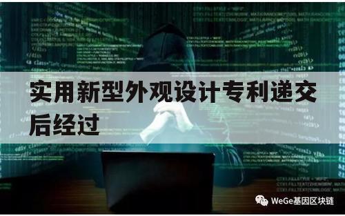 实用新型外观设计专利递交后经过（专利法规定对实用新型和外观设计专利申请进行）