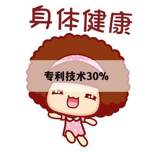 专利技术30%（专利技术转让）