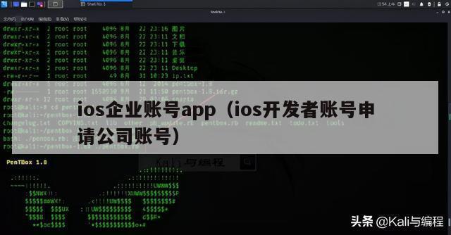 ios企业账号app（ios开发者账号申请公司账号）