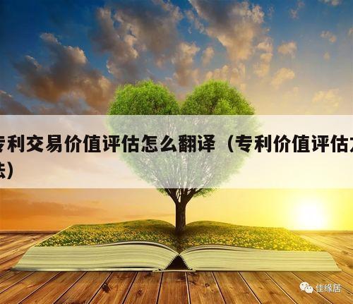 专利交易价值评估怎么翻译（专利价值评估方法）