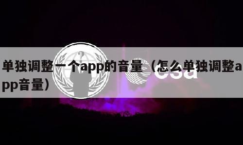 单独调整一个app的音量（怎么单独调整app音量）