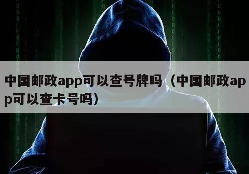 中国邮政app可以查号牌吗（中国邮政app可以查卡号吗）