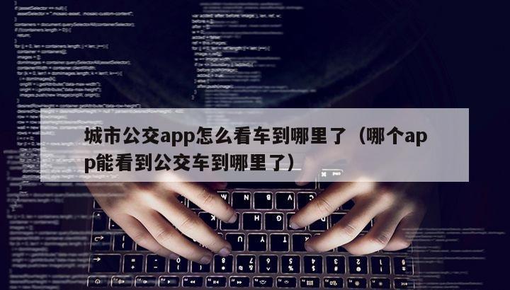 城市公交app怎么看车到哪里了（哪个app能看到公交车到哪里了）