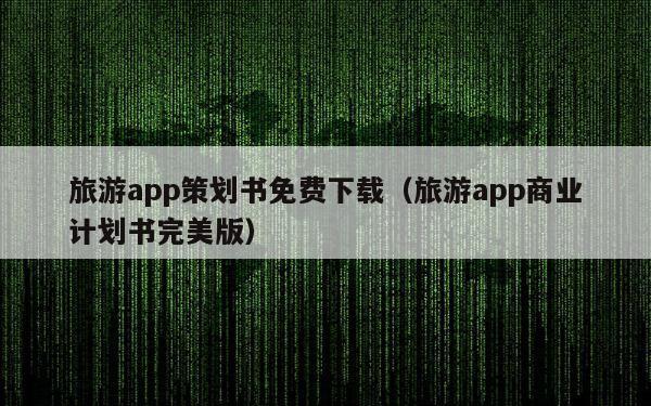 旅游app策划书免费下载（旅游app商业计划书完美版）