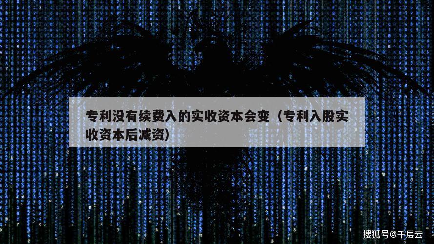 专利没有续费入的实收资本会变（专利入股实收资本后减资）