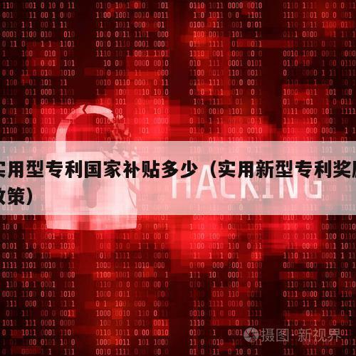 实用型专利国家补贴多少（实用新型专利奖励政策）