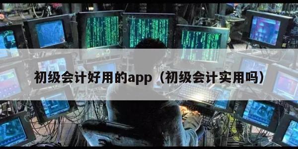 初级会计好用的app（初级会计实用吗）