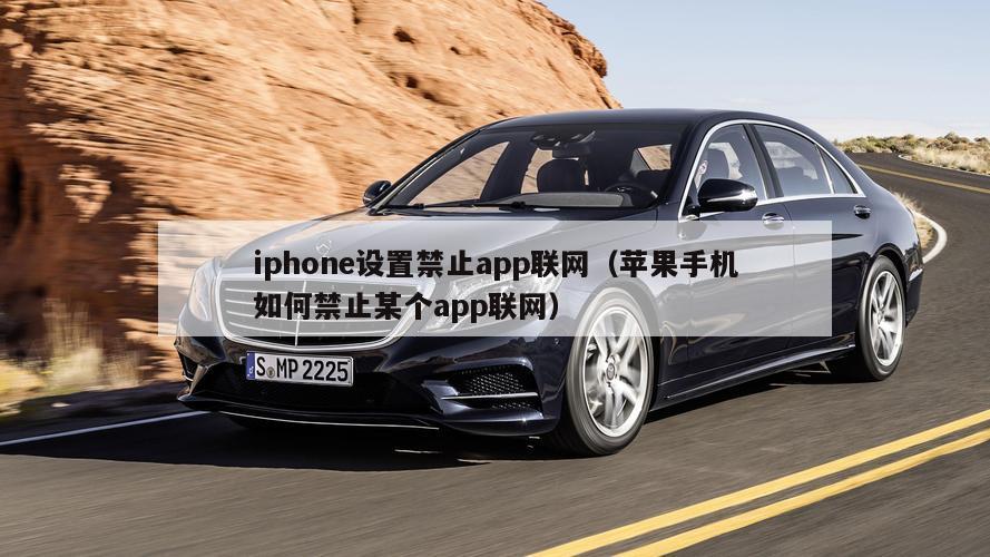 iphone设置禁止app联网（苹果手机如何禁止某个app联网）