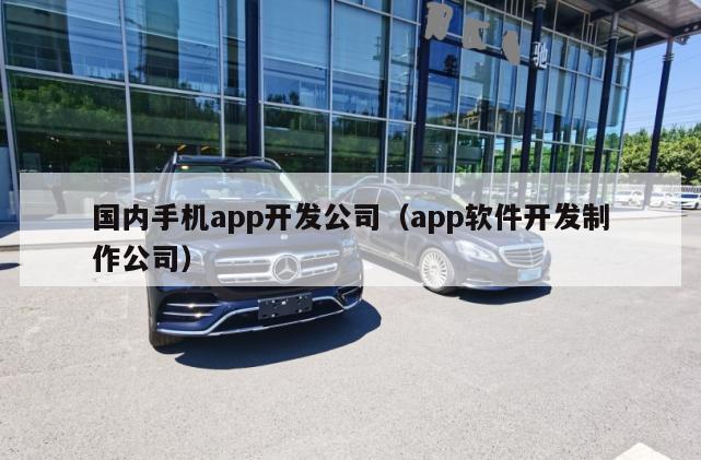 国内手机app开发公司（app软件开发制作公司）