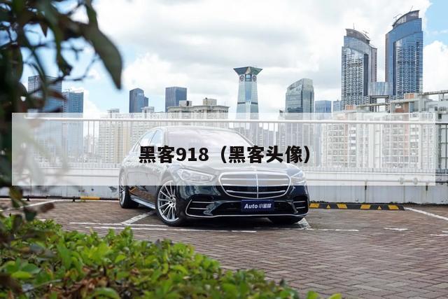 黑客918（黑客头像）