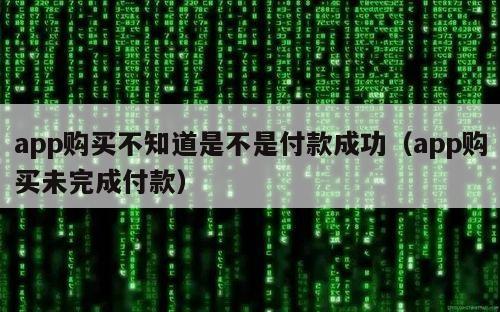 app购买不知道是不是付款成功（app购买未完成付款）