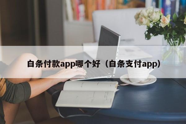 白条付款app哪个好（白条支付app）