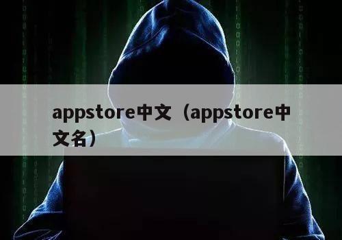 appstore中文（appstore中文名）