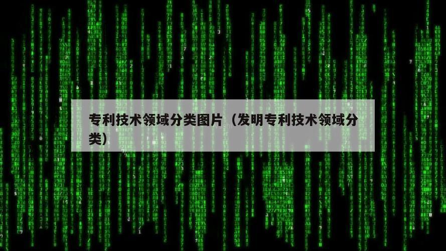 专利技术领域分类图片（发明专利技术领域分类）