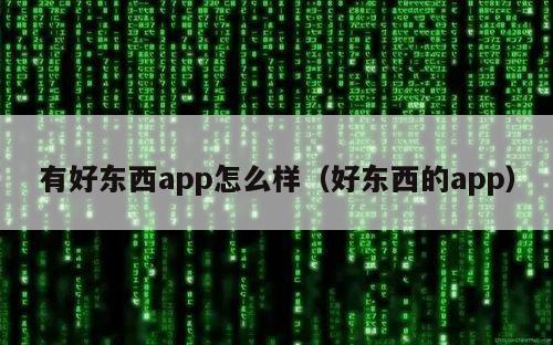 有好东西app怎么样（好东西的app）