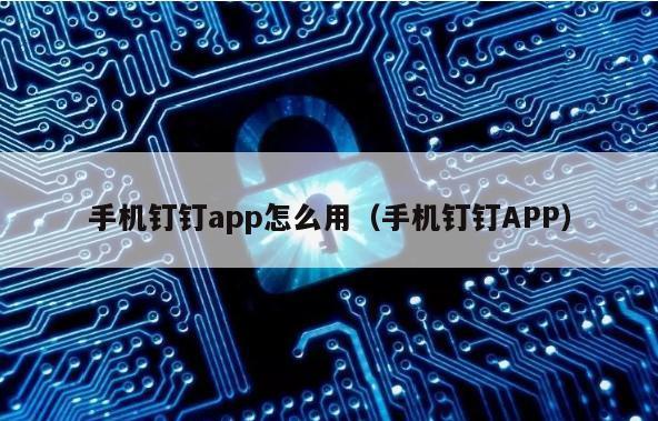 手机钉钉app怎么用（手机钉钉APP）