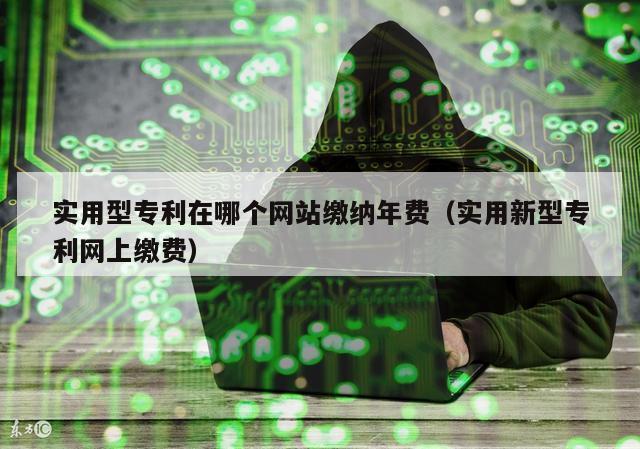 实用型专利在哪个网站缴纳年费（实用新型专利网上缴费）