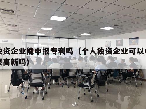 独资企业能申报专利吗（个人独资企业可以申报高新吗）