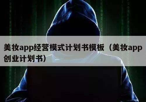 美妆app经营模式计划书模板（美妆app创业计划书）