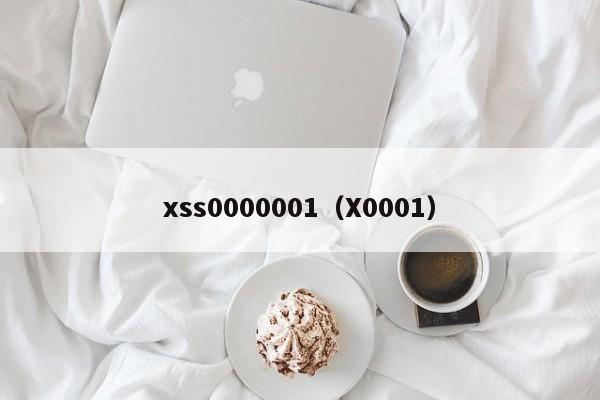 xss0000001（X0001）