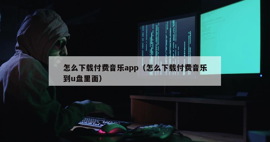 怎么下载付费音乐app（怎么下载付费音乐到u盘里面）