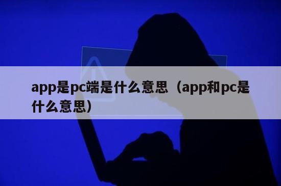 app是pc端是什么意思（app和pc是什么意思）