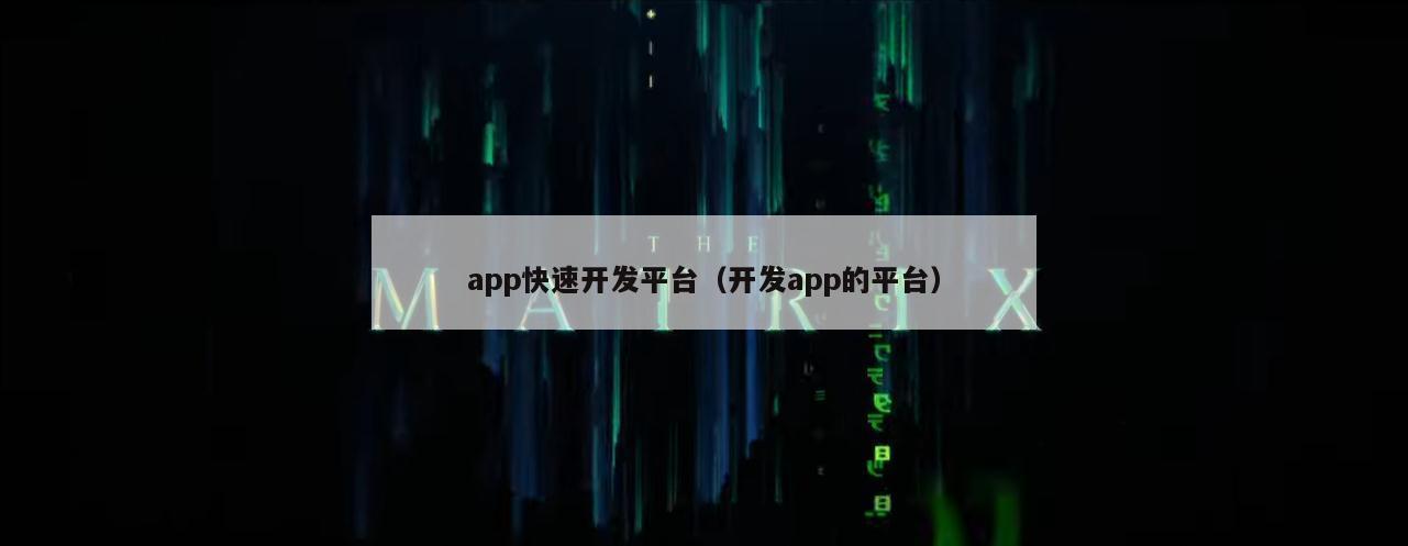 app快速开发平台（开发app的平台）