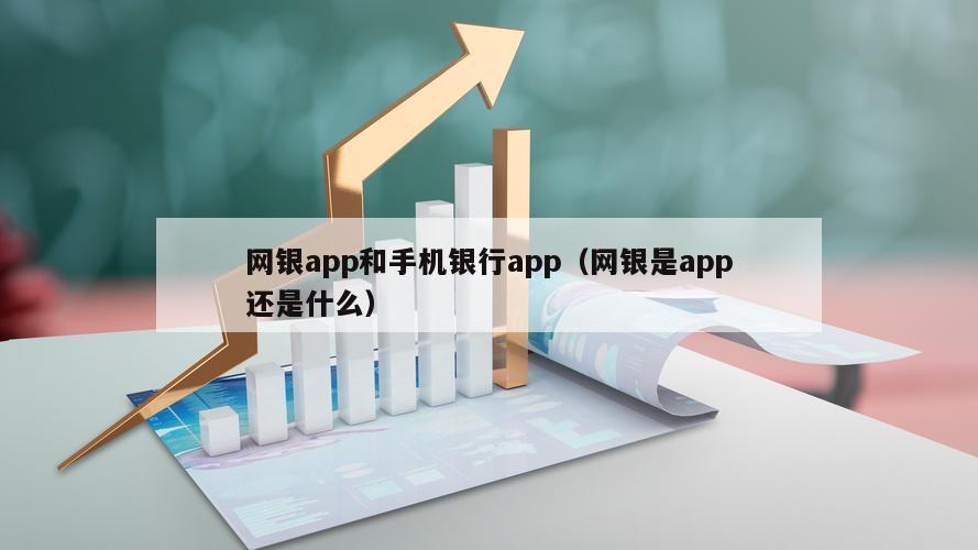 网银app和手机银行app（网银是app还是什么）