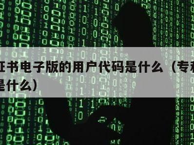 专利证书电子版的用户代码是什么（专利的证书号是什么）