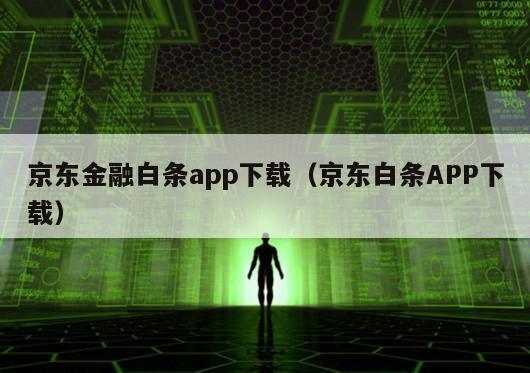 京东金融白条app下载（京东白条APP下载）