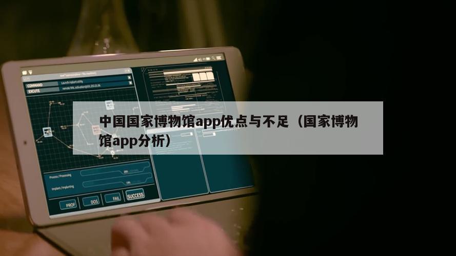 中国国家博物馆app优点与不足（国家博物馆app分析）