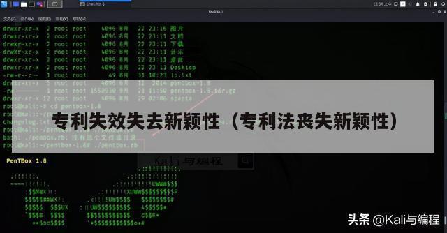 专利失效失去新颖性（专利法丧失新颖性）