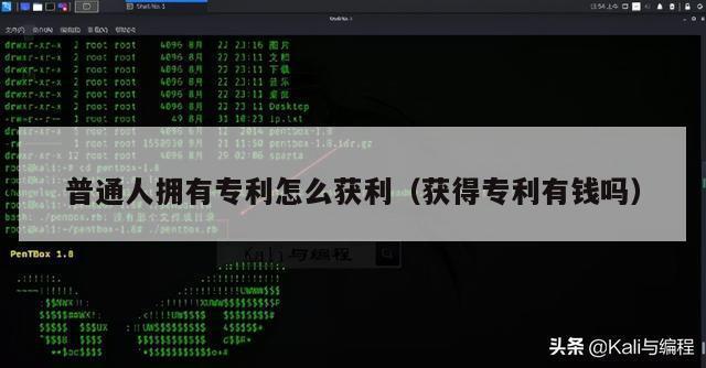 普通人拥有专利怎么获利（获得专利有钱吗）