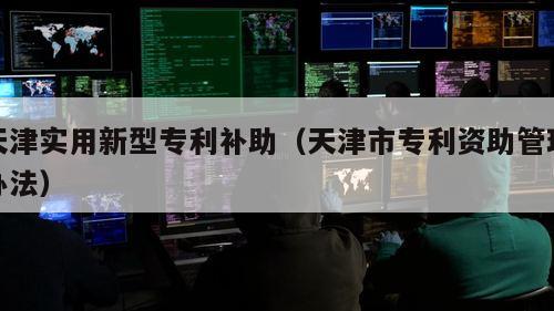 天津实用新型专利补助（天津市专利资助管理办法）