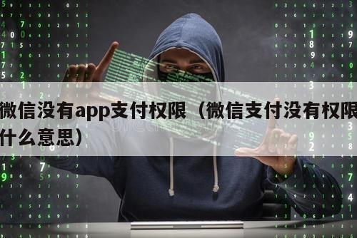 微信没有app支付权限（微信支付没有权限什么意思）