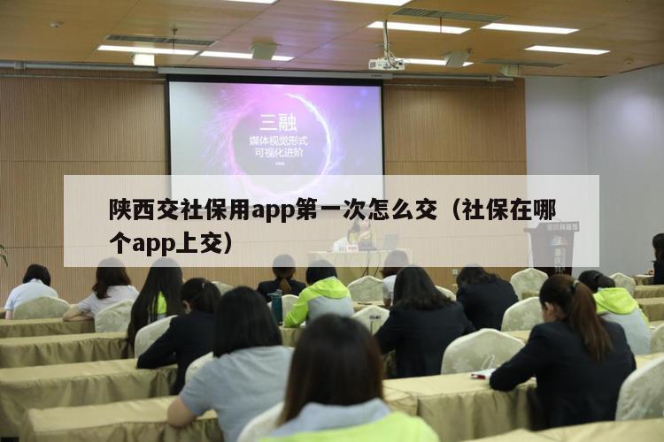 陕西交社保用app第一次怎么交（社保在哪个app上交）