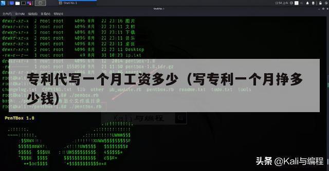 专利代写一个月工资多少（写专利一个月挣多少钱）