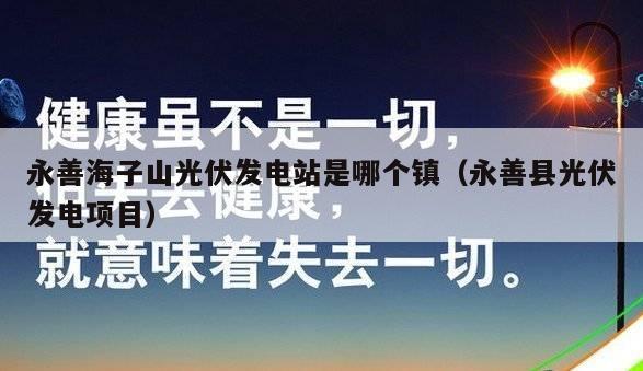 永善海子山光伏发电站是哪个镇（永善县光伏发电项目）