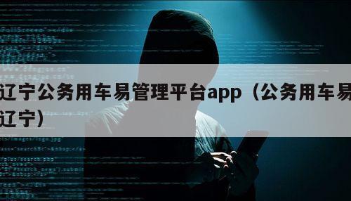 辽宁公务用车易管理平台app（公务用车易辽宁）