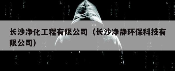 长沙净化工程有限公司（长沙净静环保科技有限公司）