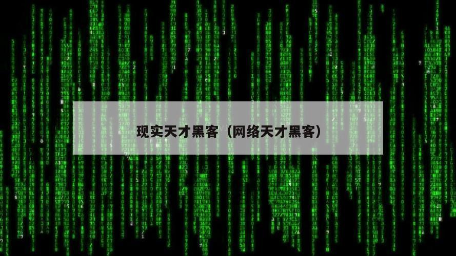 现实天才黑客（网络天才黑客）